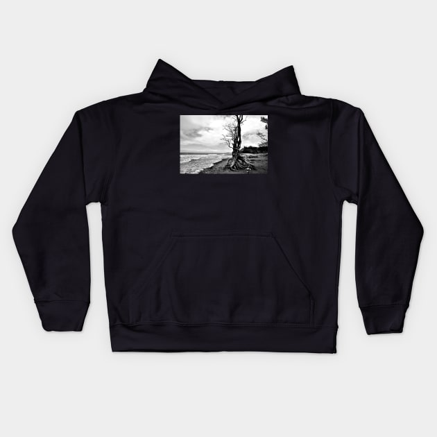 Arbre sur une plage en Noir & Blanc Kids Hoodie by franck380